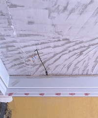 ���մֲ� ������Э�� ���벻�Գƣ��Ҽұ�ĳ��˾��òҲ��̶�