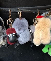 19¥С����͵ķۺ챪 ���ɰ���