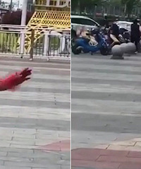 ���������Ӵ���ɫ��������ȹ ��ĳ�㳡���裡