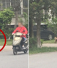 ����ĳ�׶�԰�ſ�ʮ����Ұ�� ��ѧʱ��׷����