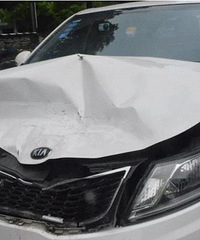 ������ţ�� ��ʧ��ʮ����