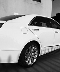 ������ �Լ�ϴϴ���� Ư����