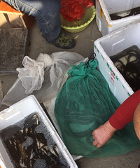 ����ȥ���²˳�����һ���������������������ͷ��