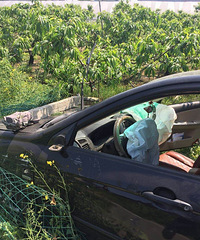 ��������ȫ���� ����һ�γ�������� �������ˡ�����