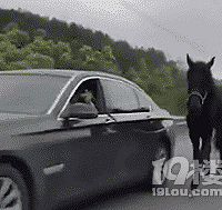 һ�ֿ����� һ���ޱ��� ������