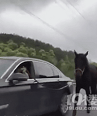 һ�ֿ����� һ���ޱ��� ������