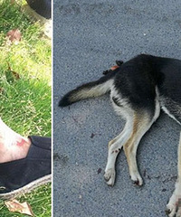 ��ҧ���ˣ��蹷ҧ��8�����и���ҧ������һ����