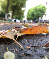 �������ģ���������