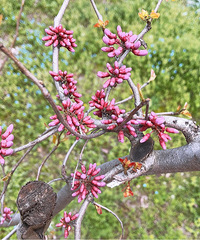 �������ģ���������