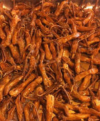 [��ʳ]Ѽ���ɫ�󳬼��ÿ� �̲�ס���