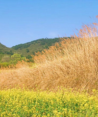 �ص�����Ȼ