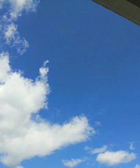 �峺���ʣ����Ե�������