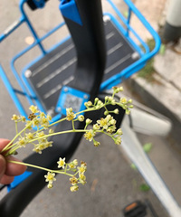 �������Ļ�������