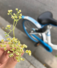 �������Ļ�������