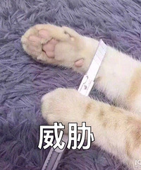 92��MM ����165 �����Ը����� �Ը��������