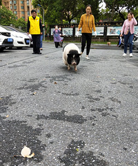 ������������ ˭�ҵĳ�����������ˡ�����