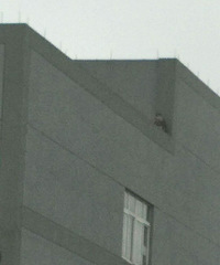 ͻ�����ܵܵ����� ��������ٿ� �������̨Ҫ��¥��