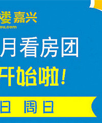 ��5�¿����ű�������������