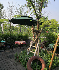 ���ڲ�֪��ȥ�Ķ� ϣ�����ѻ���Լ��Σ�