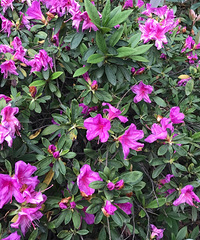 ���������ӵ���͵͵��¥ת��ת