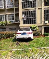 ��˾������̫�ͣ�����һ�����ӱ�ֱײǽ����