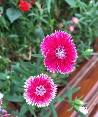 �������ǳ���Ϸ����