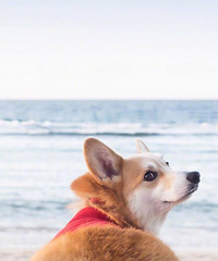 93��MM ����163 ���˱����� ϲ��ë���׵�С����