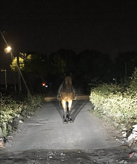 ˵������ܲ��� ����������һ�������ġ���·��