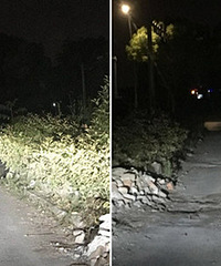 ����ܲ��� �������������ġ���·��