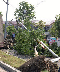 �����ˣ�ʯ������һ���๤�̳��෭