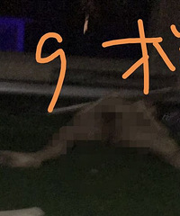 ͻ��������ĳС�����¸����� ȫ��һ˿���ң�