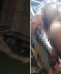 ��ҹ������ĳС�����¸����� ȫ�����㣡