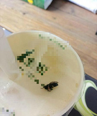 ˲�����ˣ����̲���ÿڸв��� ��Ϊ����Ҭ�� �����ֻ��Ӭ