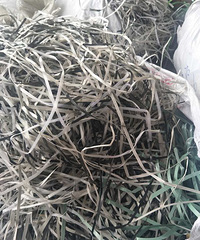 ���մ����ë�ϣ��л��Ļ���֪�������е�΢