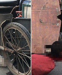 ���ֳ����ӱ�ײ ����һ��̲Ѫ��