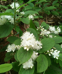 ��ů���������ٽ�