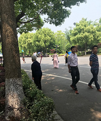 乌镇