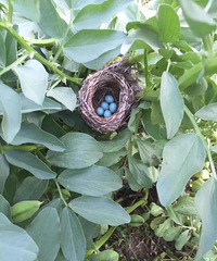 ��֪ʶ����Ȼ�������ڶ�����