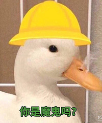 �������ˣ�������Ϊ�Ҳ��Ҷ���ͷ���ȫ�����ŵ�