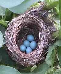 ��֪ʶ����Ȼ�������ڶ�����