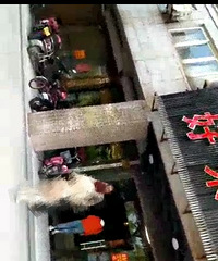 ��Ƶ�贫������Ů�ӱ��Ϲ��ǹ��·� ȫ�������Ƴ�����