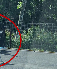 �������˰����� ռͣ��λ�Ȳ�