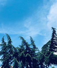 �������õ�����