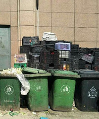 С����12������Ͱ��Χ ����Ѭ�죡