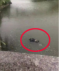 ���磡Ů��5.2���� ����ʬ���ں��︡��