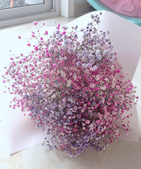 ��������Ҹ����Ϲ������������ŵĶ���...