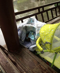 ���ģ�����һ��Ӥ��ĸ������������ĳͤ����