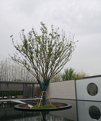 ����ҵ����ܺ�����  ��֪���Ժ�������ֵ�ռ���ô��