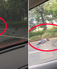 �����´�·ͻ������ �綯����ײ�����飡��...