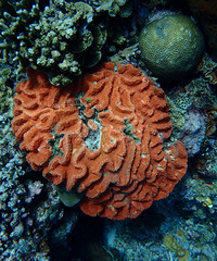 ����һ��Ҫȥ���ϵ۵Ľ���ס����ȶ� Ǳˮһ���� ���Ϲ���